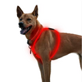 Factory Wholesale DIY LED Optical Fiber Lamp Dog Vest Harness for Walk the Dog at Night